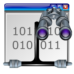 datagram_search_256.ico