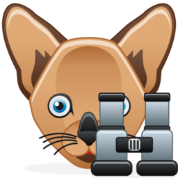 cat_search.png