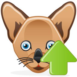 cat_up.png