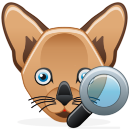 cat_zoom.png