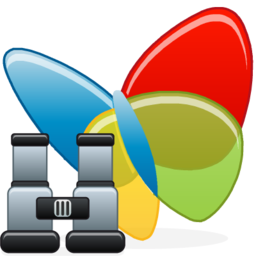 msn_search.png
