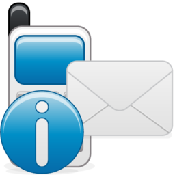 send_sms_info.png