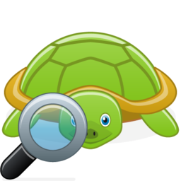 turtle_zoom.png