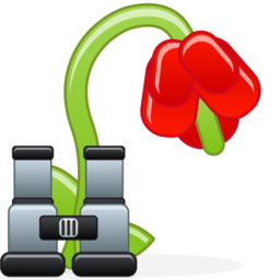 withered_flower_search.png