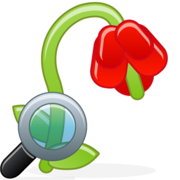 withered_flower_zoom.png