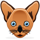 cat_128.png