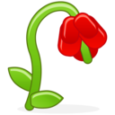 withered_flower_128.png