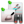 task_types_search_24.png