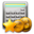 baseline_for_earned_value_fav_32.png